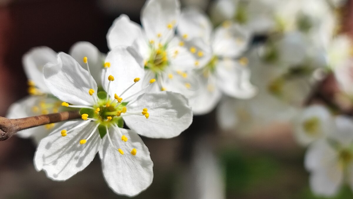 ,,, - Сергей Тимоновский ,,, - Сергей Тимоновский