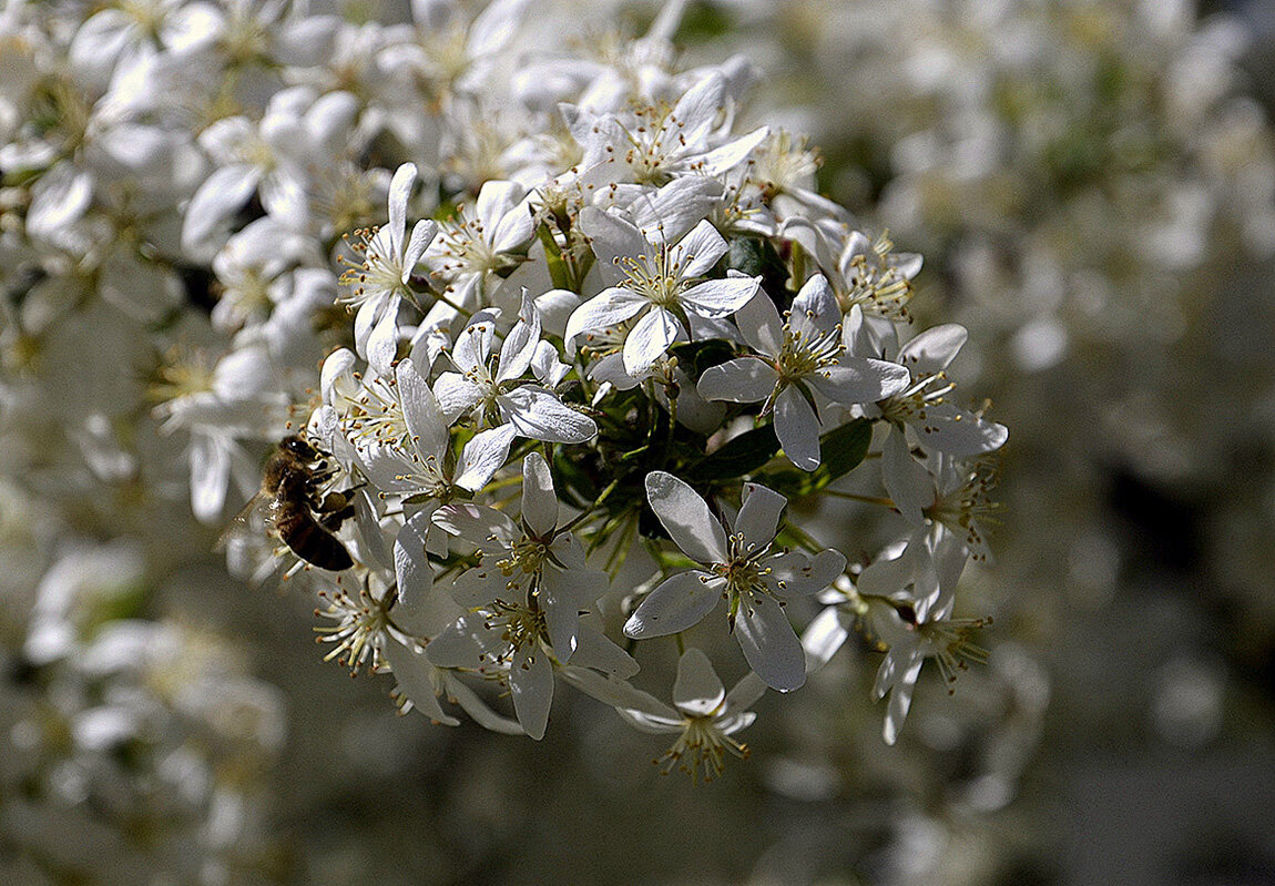 Пошла работа.... - Aleksandr Gal Пошла работа.... - Aleksandr Gal