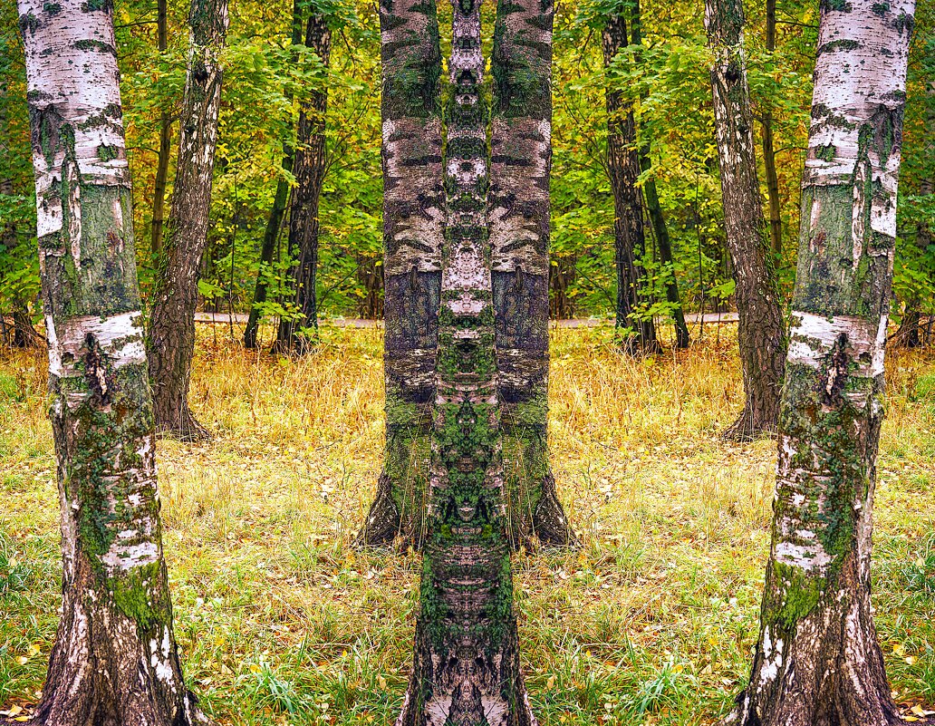 Осень в лесопарке - Владимир Кроливец Осень в лесопарке - Владимир Кроливец