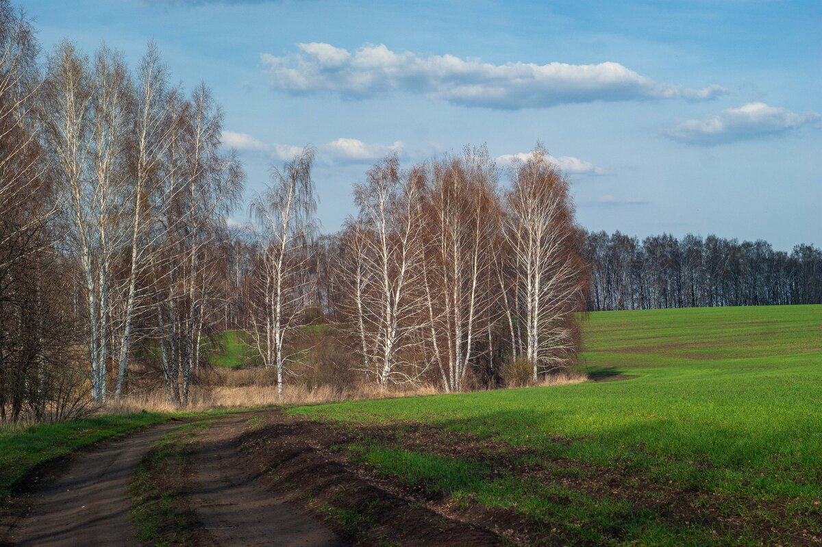 Ранняя весна - Дмитрий Ряховский