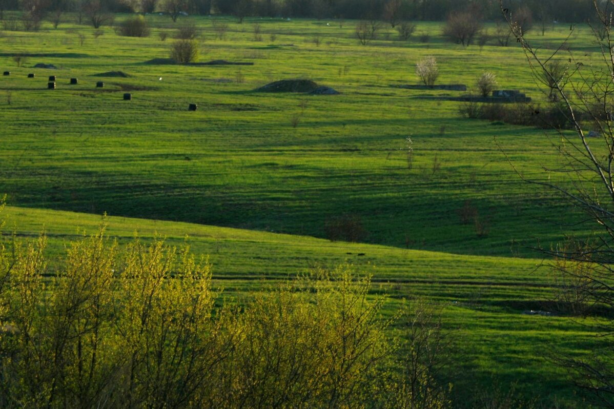 Весна на Донбассе - Татьяна Евдокимова Весна на Донбассе - Татьяна Евдокимова