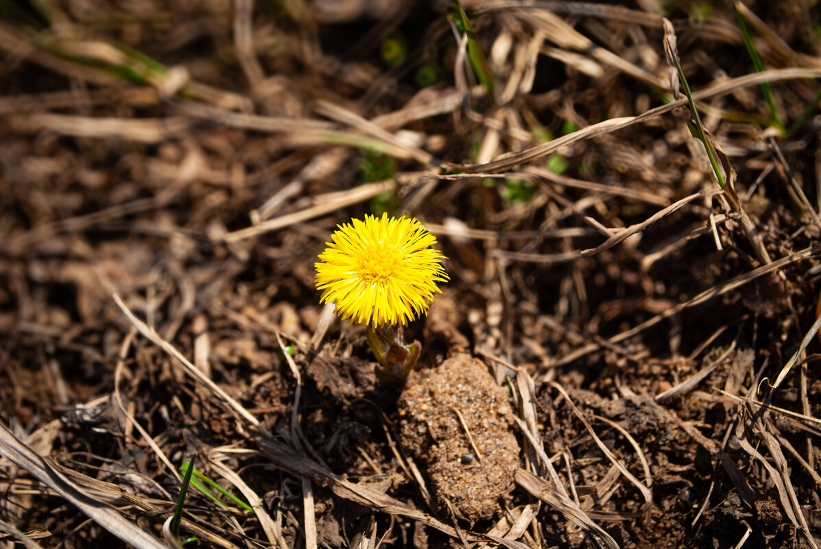 Пробуждение - Анастасия Логинова