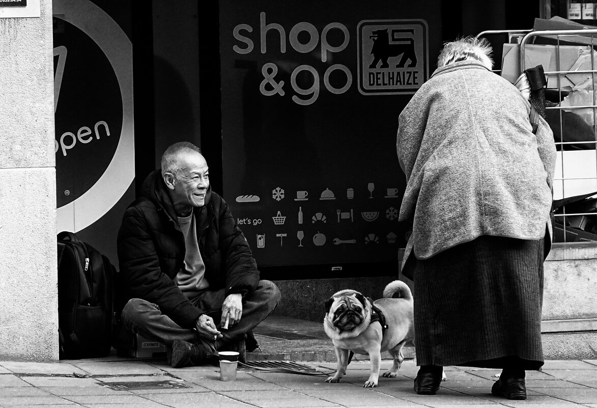 Брюссельский попрашайка... - Elena Ророva Брюссельский попрашайка... - Elena Ророva