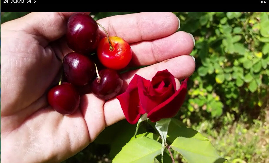 111 (3) - СТРЕН 