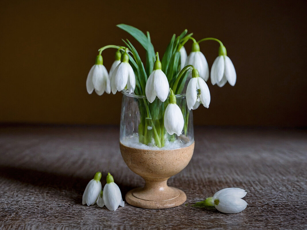 Подснежники - Aleksey Afonin