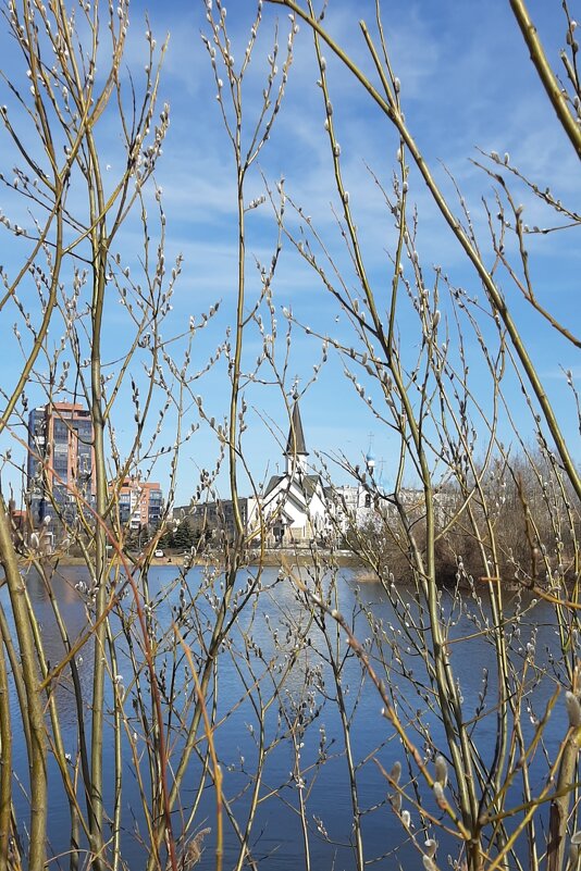 Пулковский парк - Наталья Герасимова Пулковский парк - Наталья Герасимова