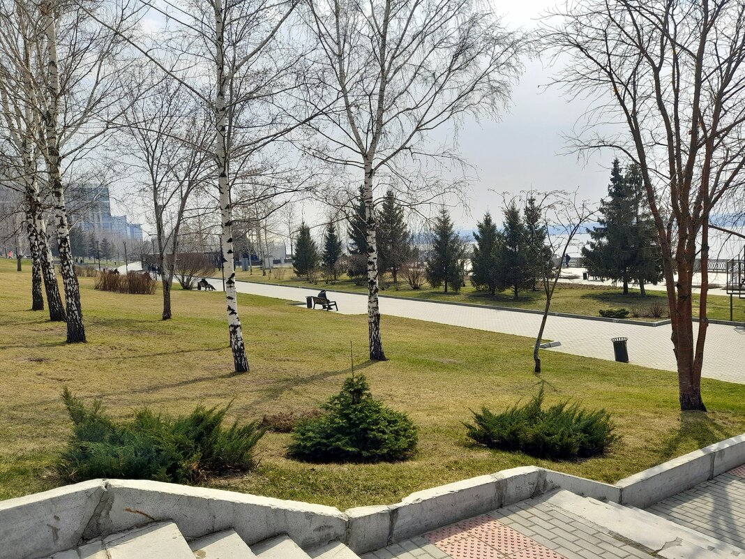 Апрельский пейзаж в парке на Михайловской . Новосибирск. - Мила Бовкун