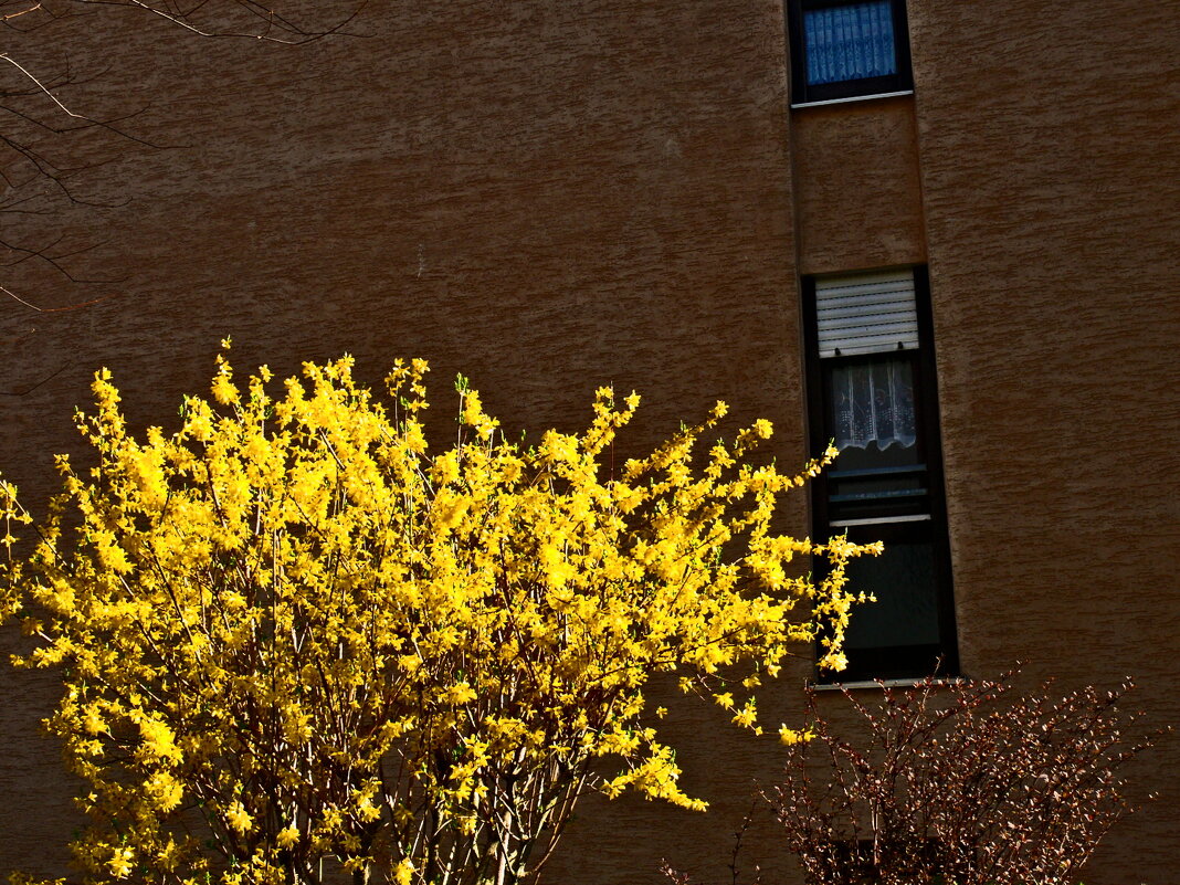 Весенние зарисовки 86 - Алексей Кузнецов