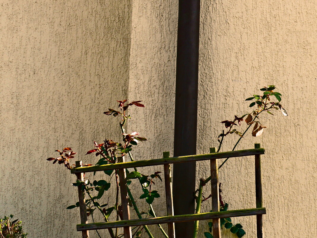 Весенние зарисовки 90 - Алексей Кузнецов Весенние зарисовки 90 - Алексей Кузнецов