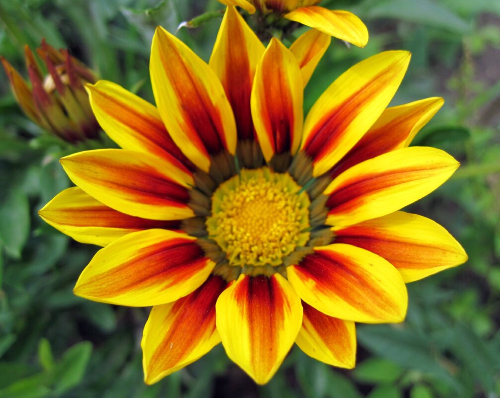 Гацания. - Ирина ***