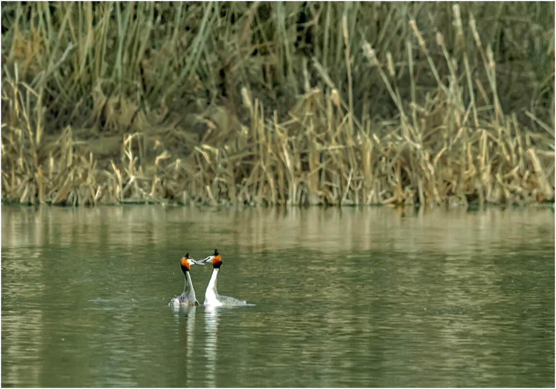 Время любви - Валентин Котляров