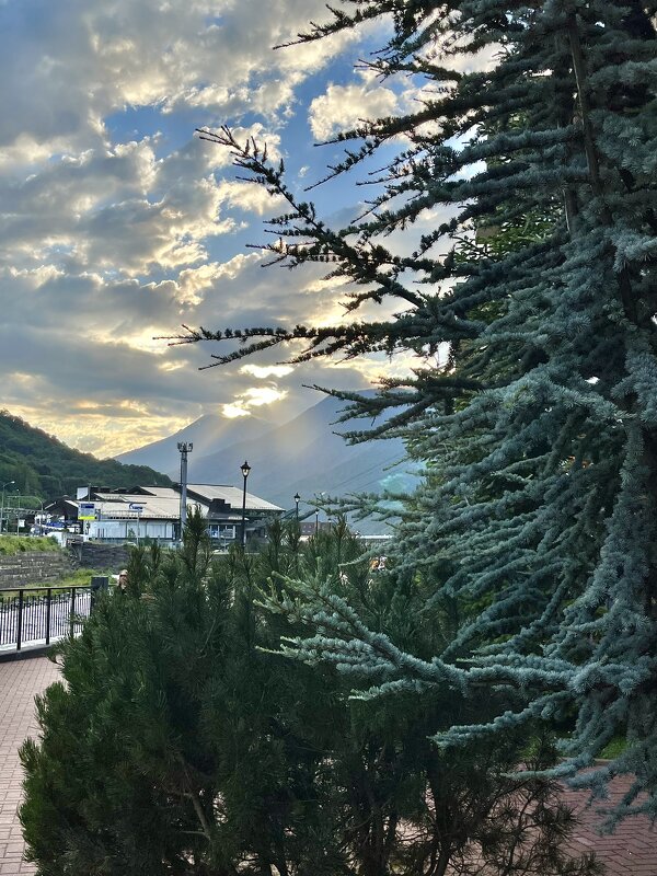 Сочи - Александр Конов