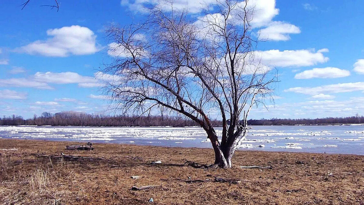 Май...Ледоход на Юганской Оби. - Владимир 