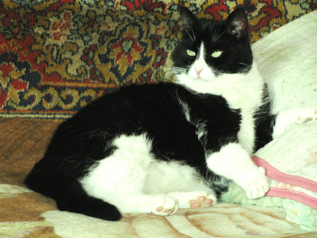 После прогулки - Людмила Смородинская После прогулки - Людмила Смородинская