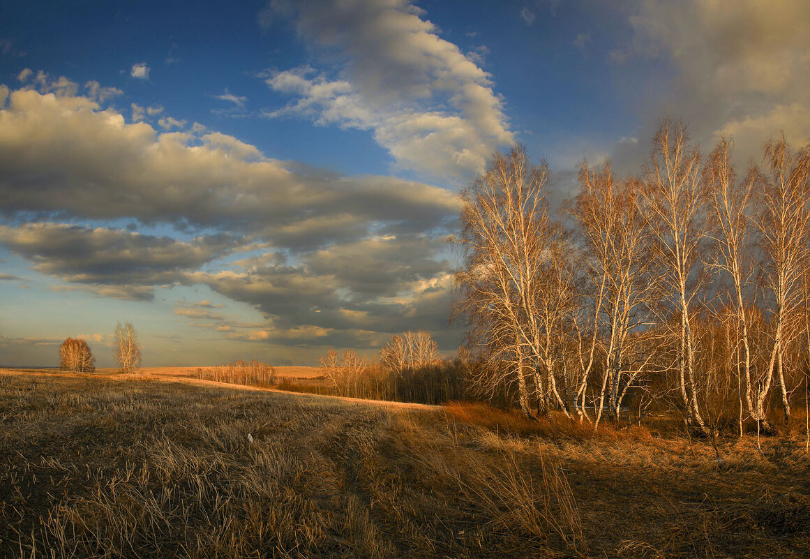 *** - Сергей Жуков
