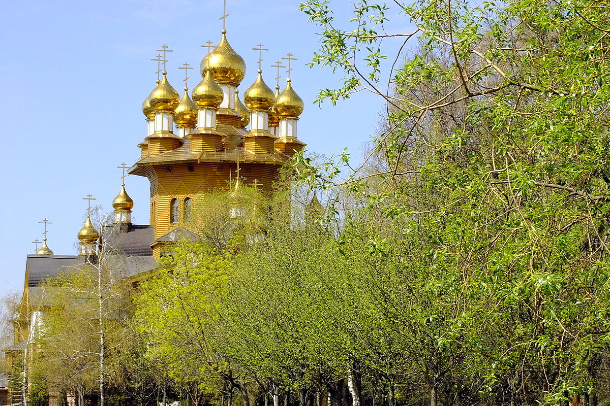 Золотые купола - Фёдор Меркурьев