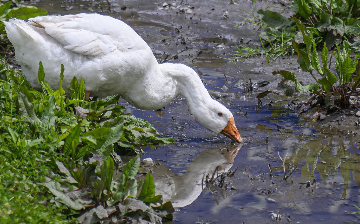 * - Осень * - Осень