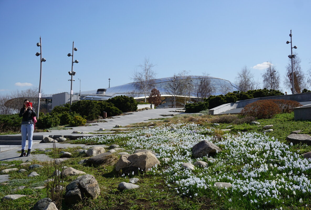 Весна в Зарядье - Ольга Весна в Зарядье - Ольга