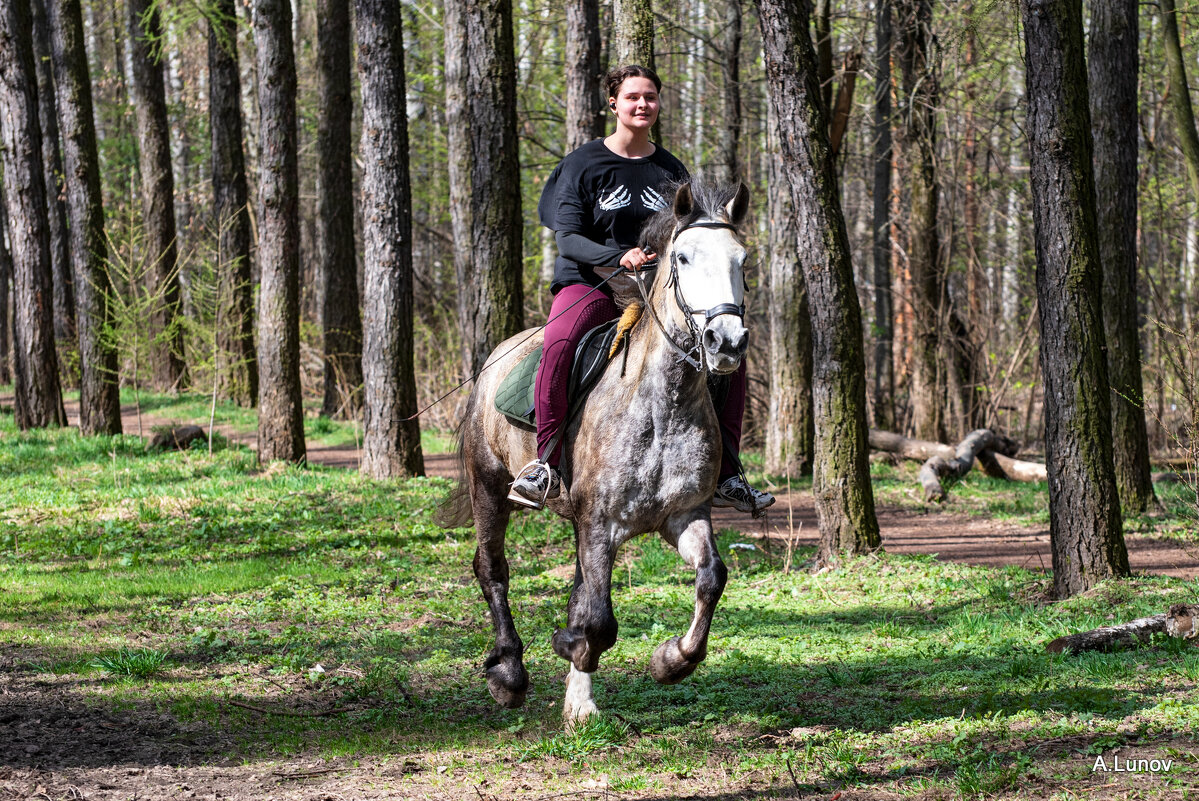 Весенний галоп... - Anatoly Lunov Весенний галоп... - Anatoly Lunov
