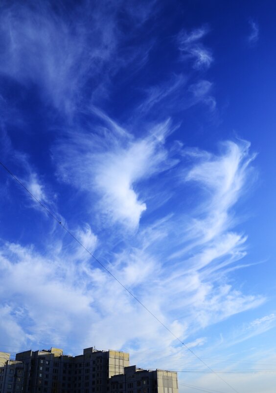 Апрельское небо. - Василий Палий