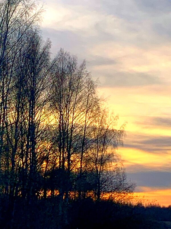 Закат. - Ольга Довженко