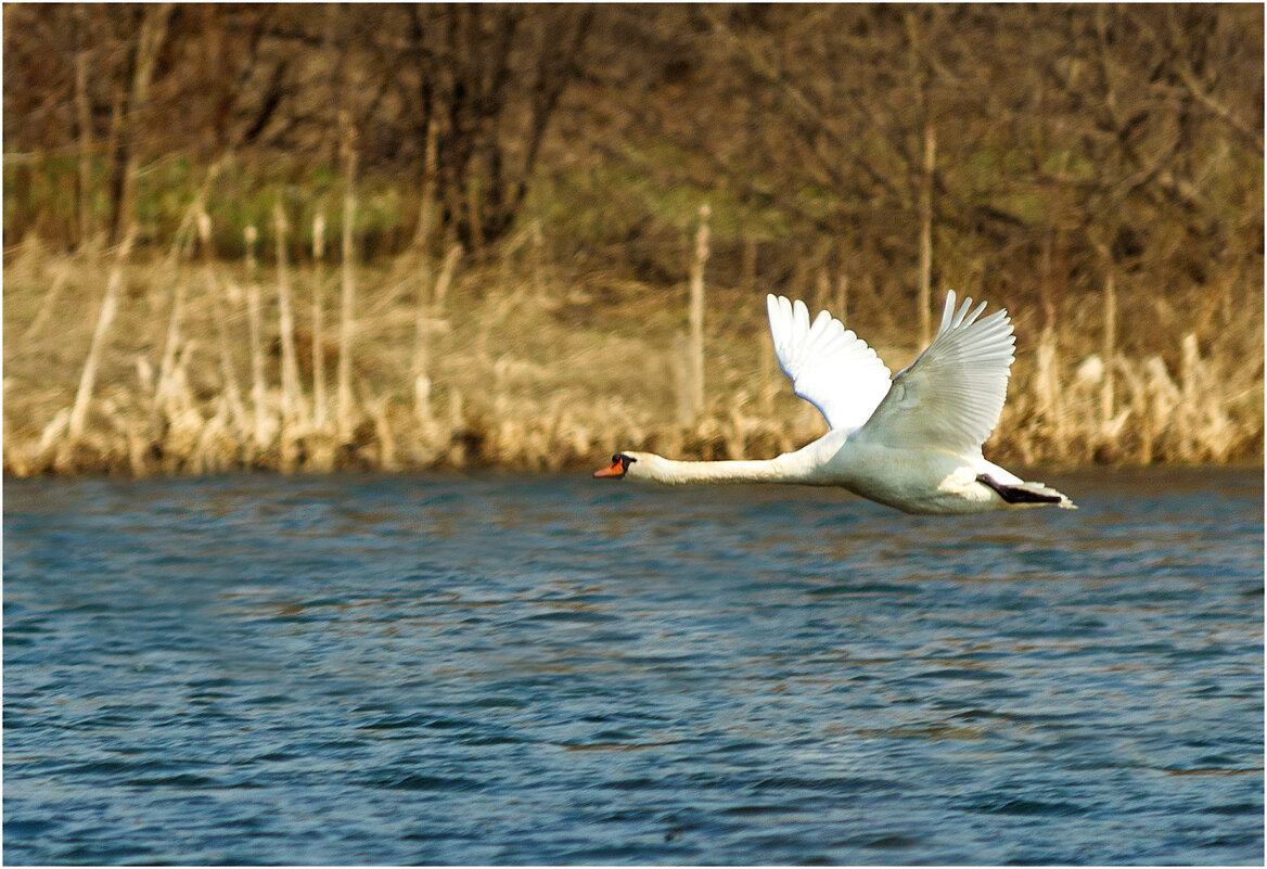 Возвращение на родину - Валентин Котляров