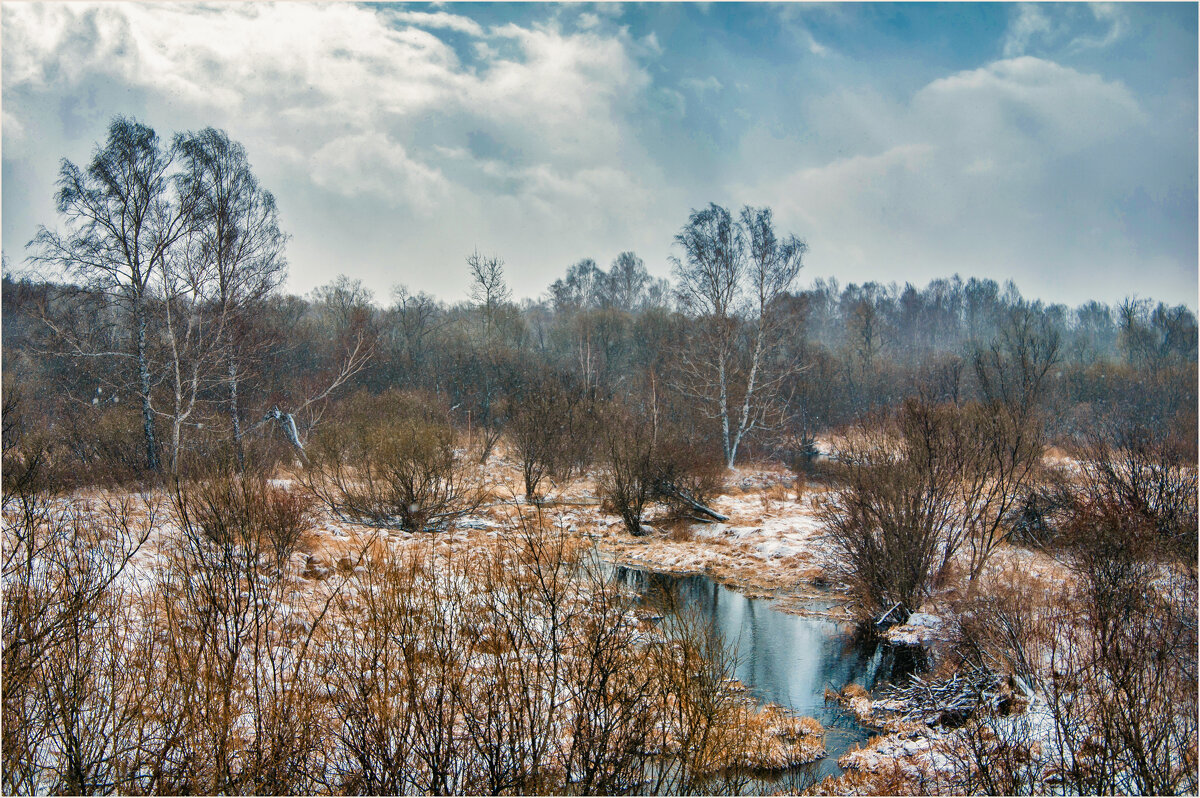 Весенний снежок - Алексей Мезенцев Весенний снежок - Алексей Мезенцев