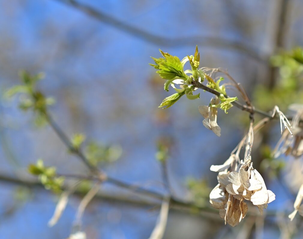 Прошлое и настоящее рядом... - Алекс Б-в Прошлое и настоящее рядом... - Алекс Б-в