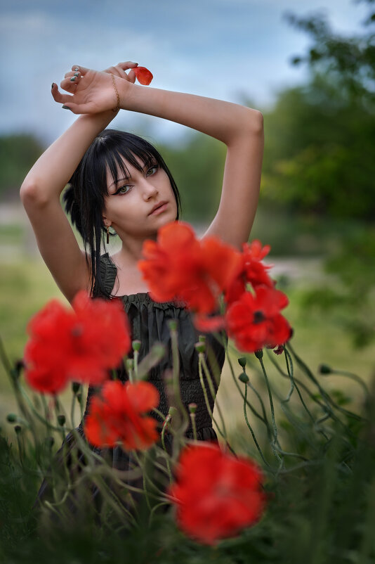 *** - Viktoria Anufrieva