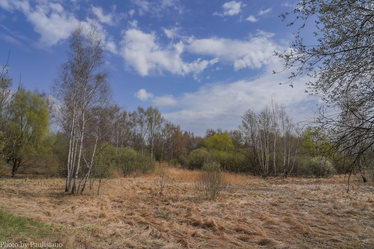 Палитра апреля... - Владимир Жданов
