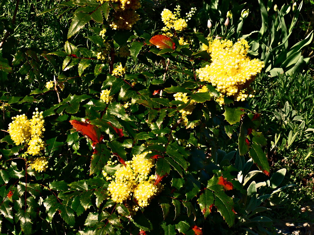 Весенние зарисовки 94 - Алексей Кузнецов