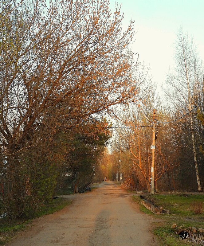 Загорянка - Леонид leo