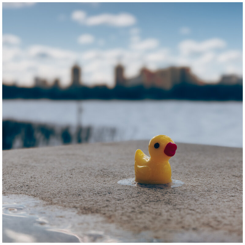 *** - someone somewere