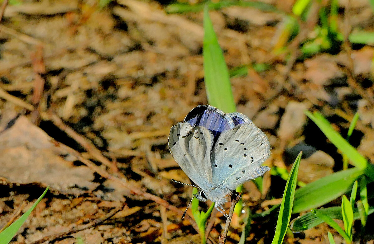 из снятого сегодня 6 - Александр Прокудин из снятого сегодня 6 - Александр Прокудин