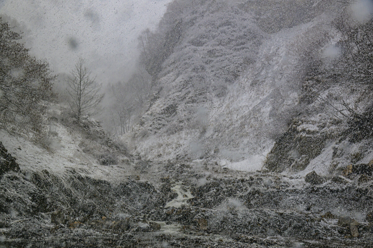Грузинские каникулы - Осень Грузинские каникулы - Осень