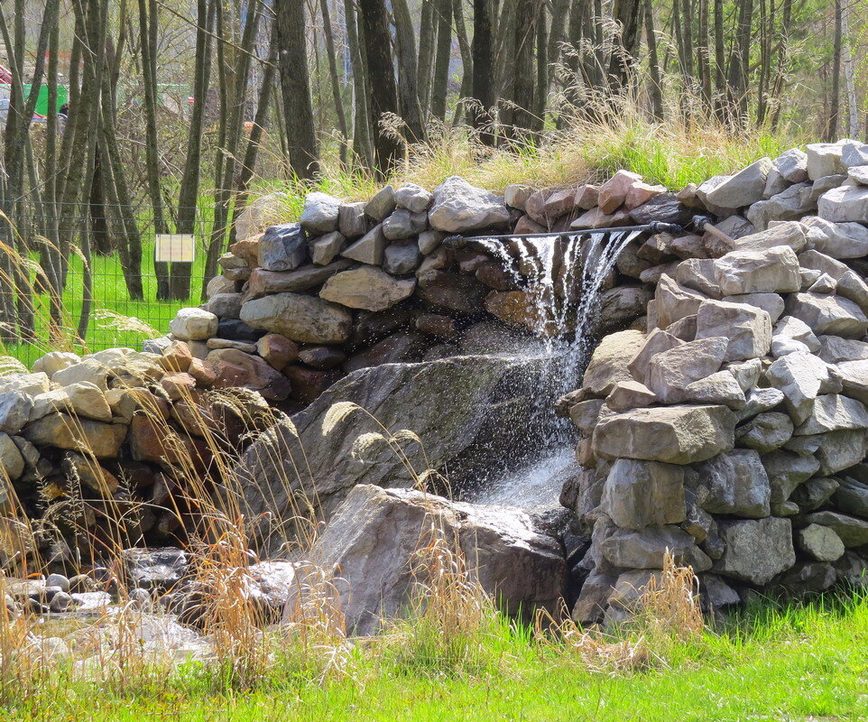 Уголок парка - Сеня Белгородский Уголок парка - Сеня Белгородский