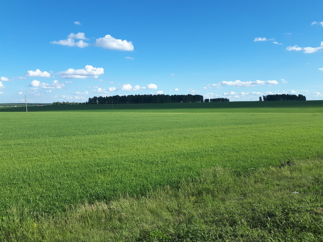 Просторы - Дмитрий Петров