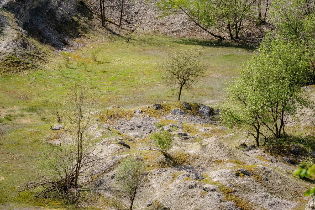 В старой каменоломне... - Николай Гирш В старой каменоломне... - Николай Гирш