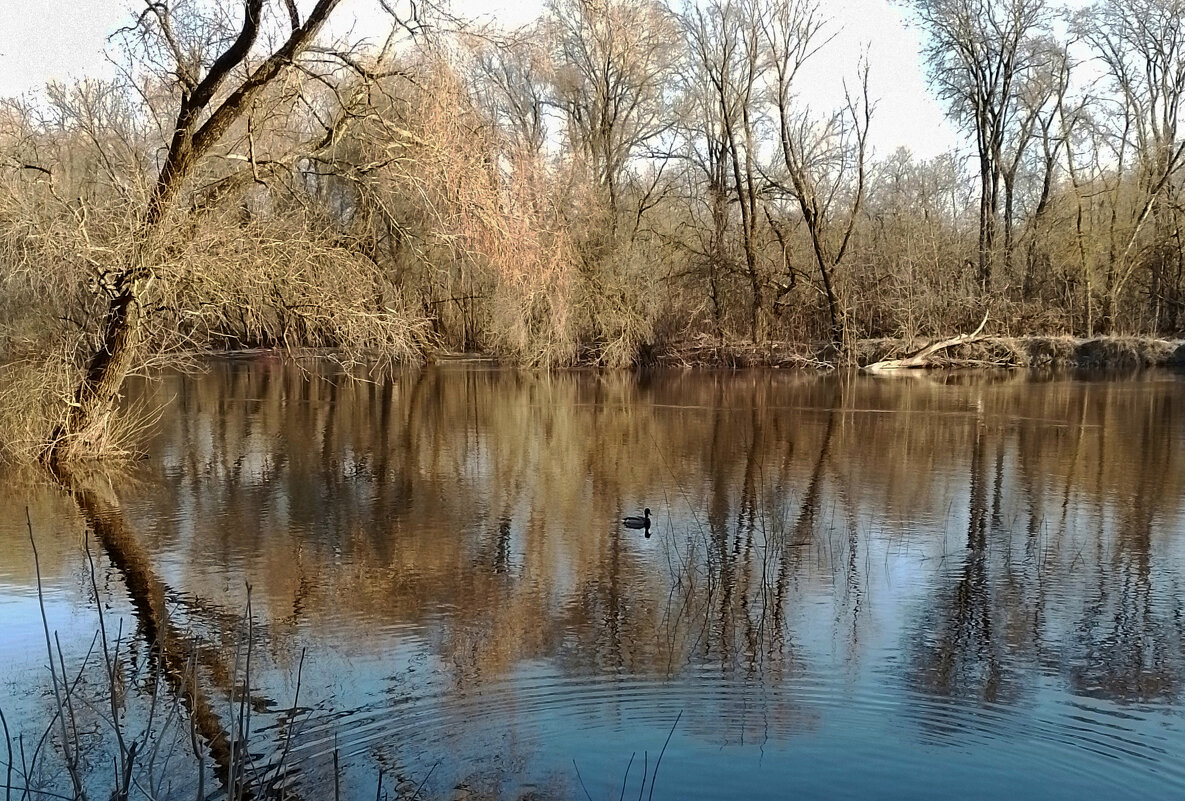 *** - Валентина Береснева *** - Валентина Береснева