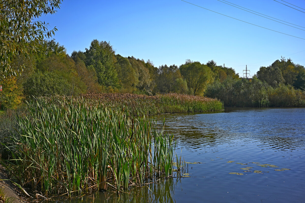 Люблинский пруд - Игорь Белоногов Люблинский пруд - Игорь Белоногов