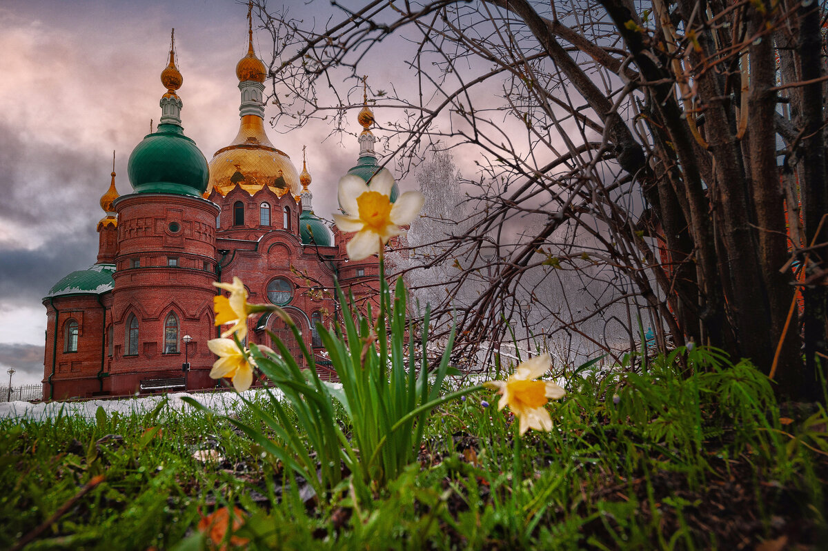Зима вернулась... - Виктор Садырин Зима вернулась... - Виктор Садырин