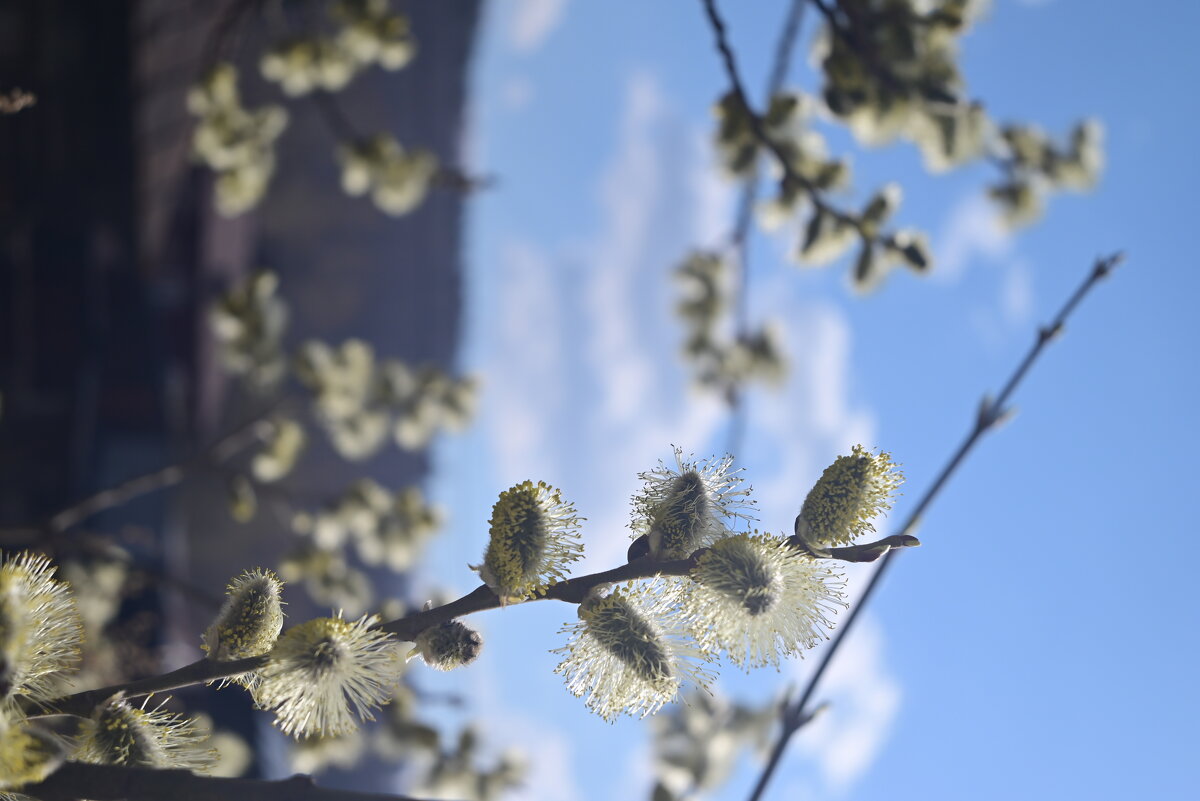Тепло, застывшее в воздухе - Владислав Левашов Тепло, застывшее в воздухе - Владислав Левашов