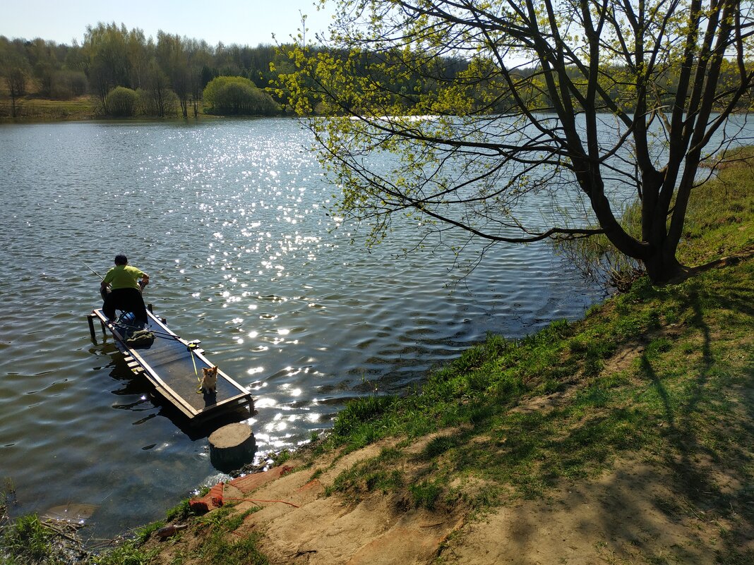 В моём храме - Андрей Лукьянов