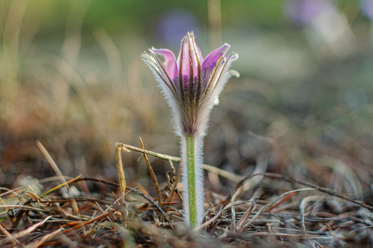 К свету! - Александр Филатов