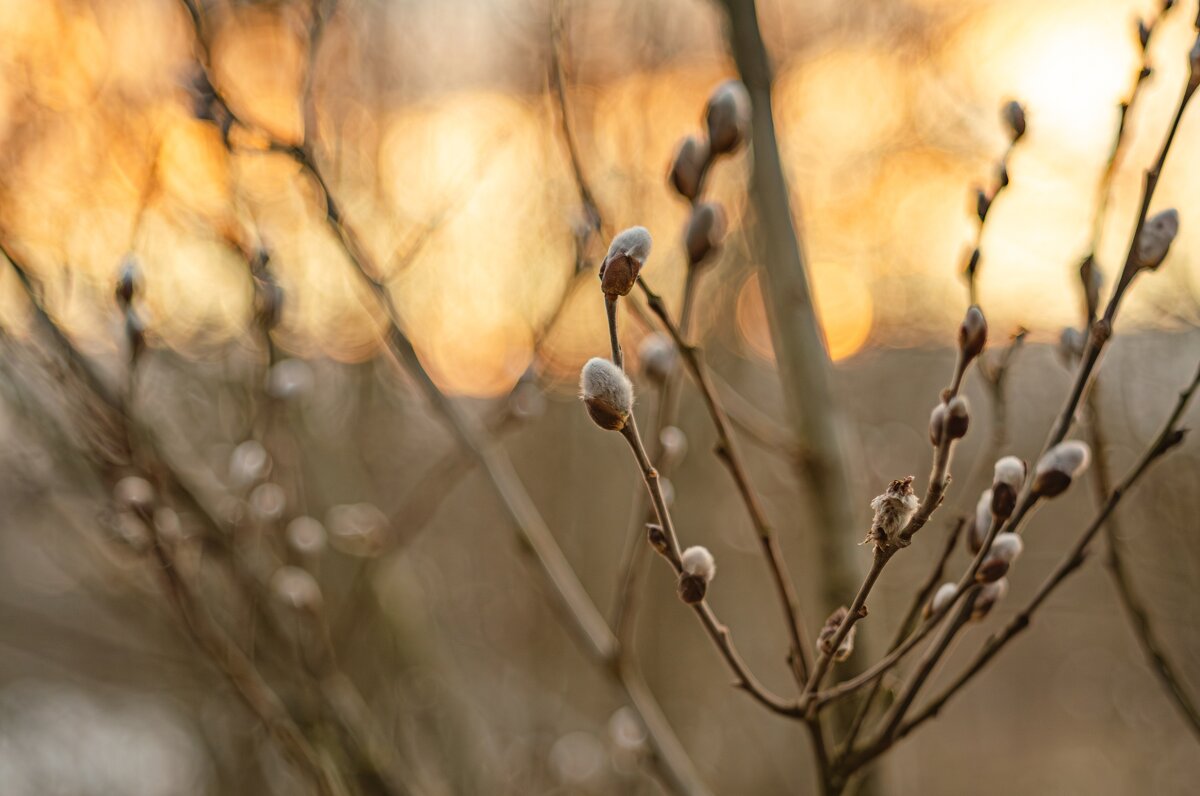 На закате - Александр Филатов