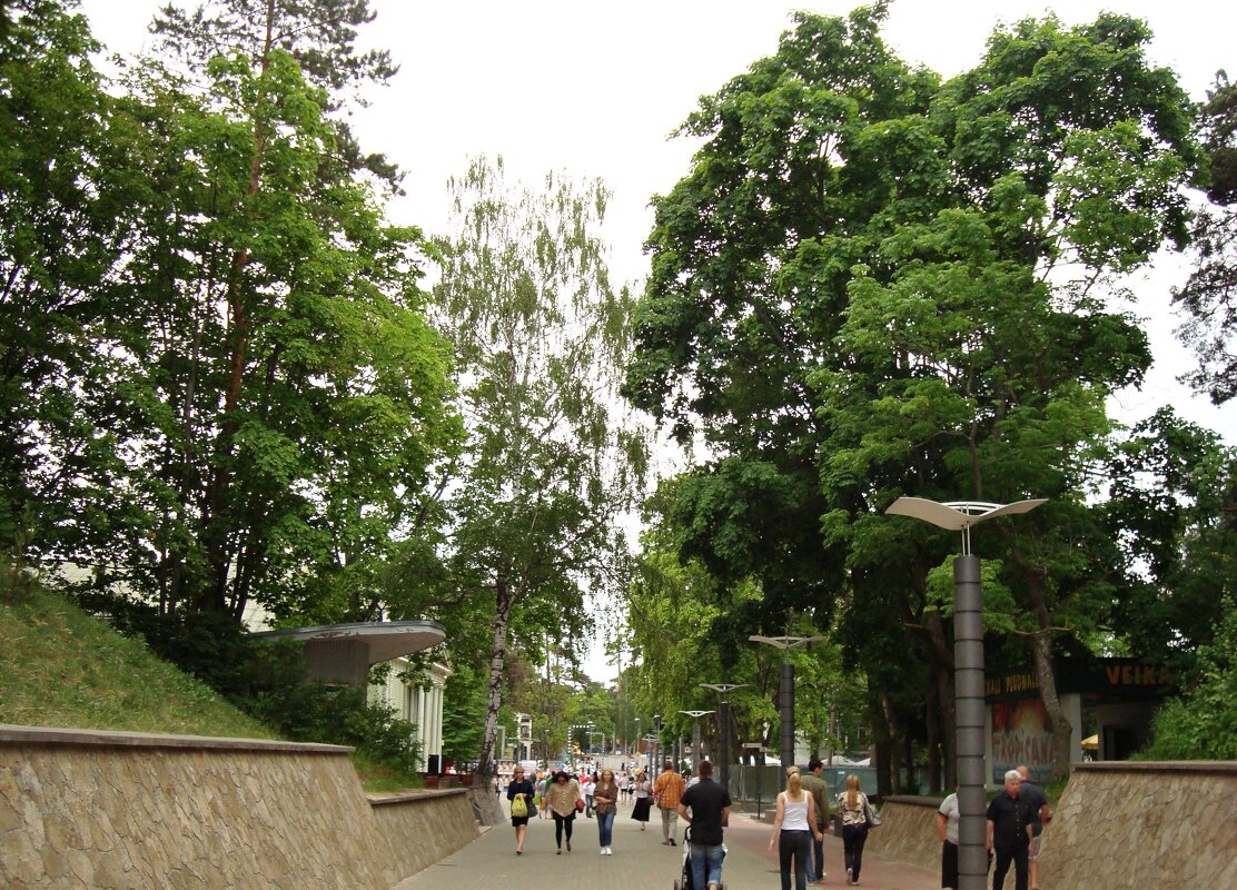море - марта Камушкина