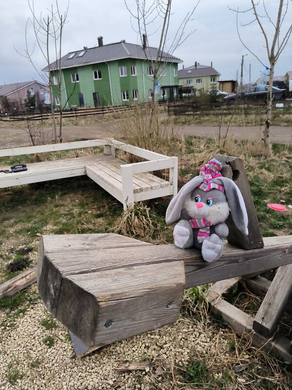 Зайку бросила хозяйка. - Ольга Зайку бросила хозяйка. - Ольга