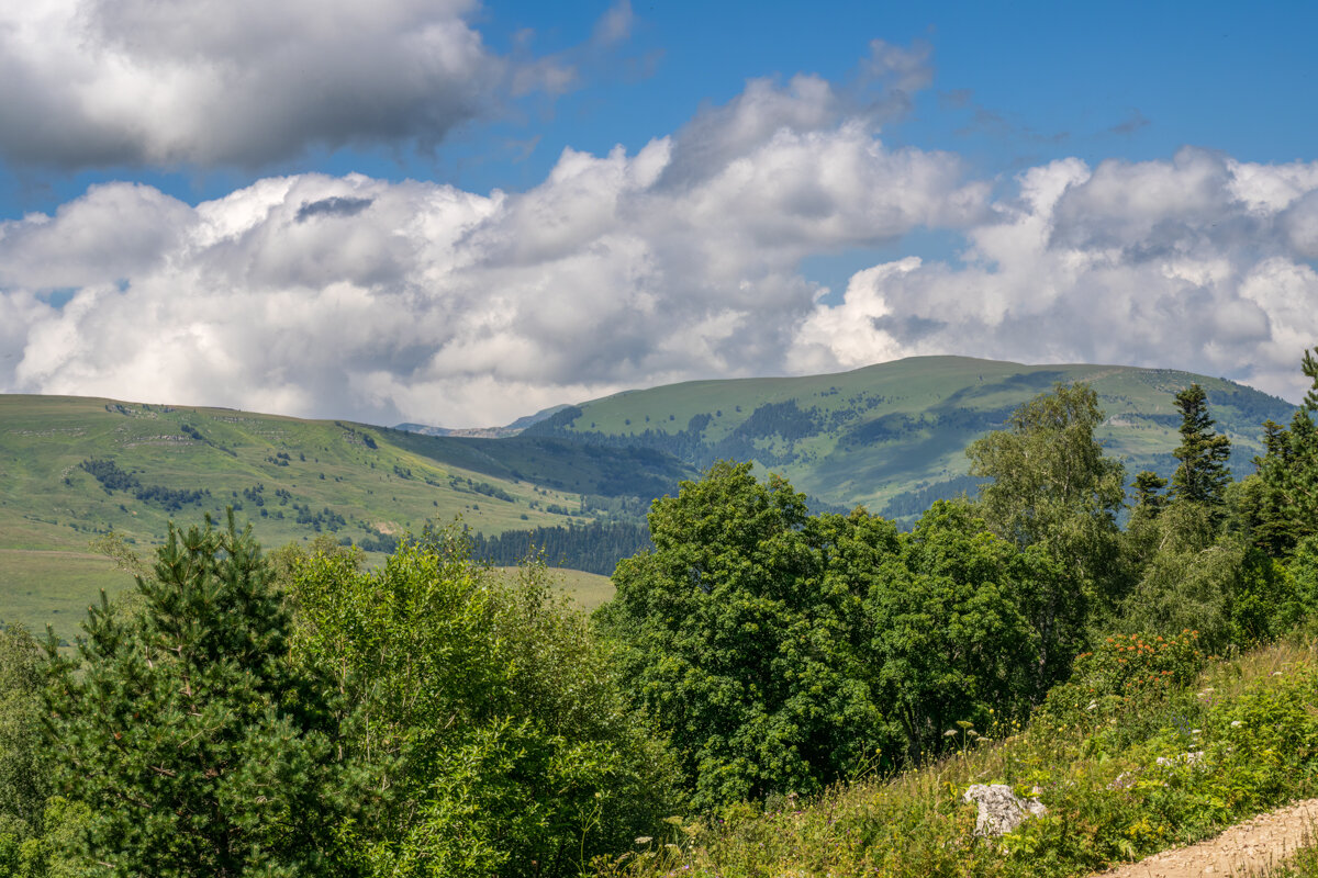 Лаго Наки лето - Игорь Сикорский Лаго Наки лето - Игорь Сикорский