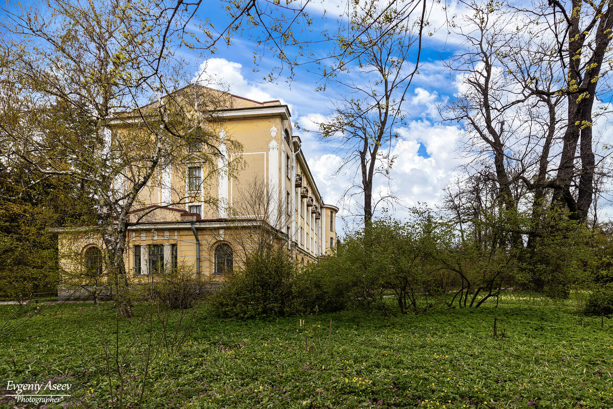 Петербургские зарисовки - Евгений Петербургские зарисовки - Евгений