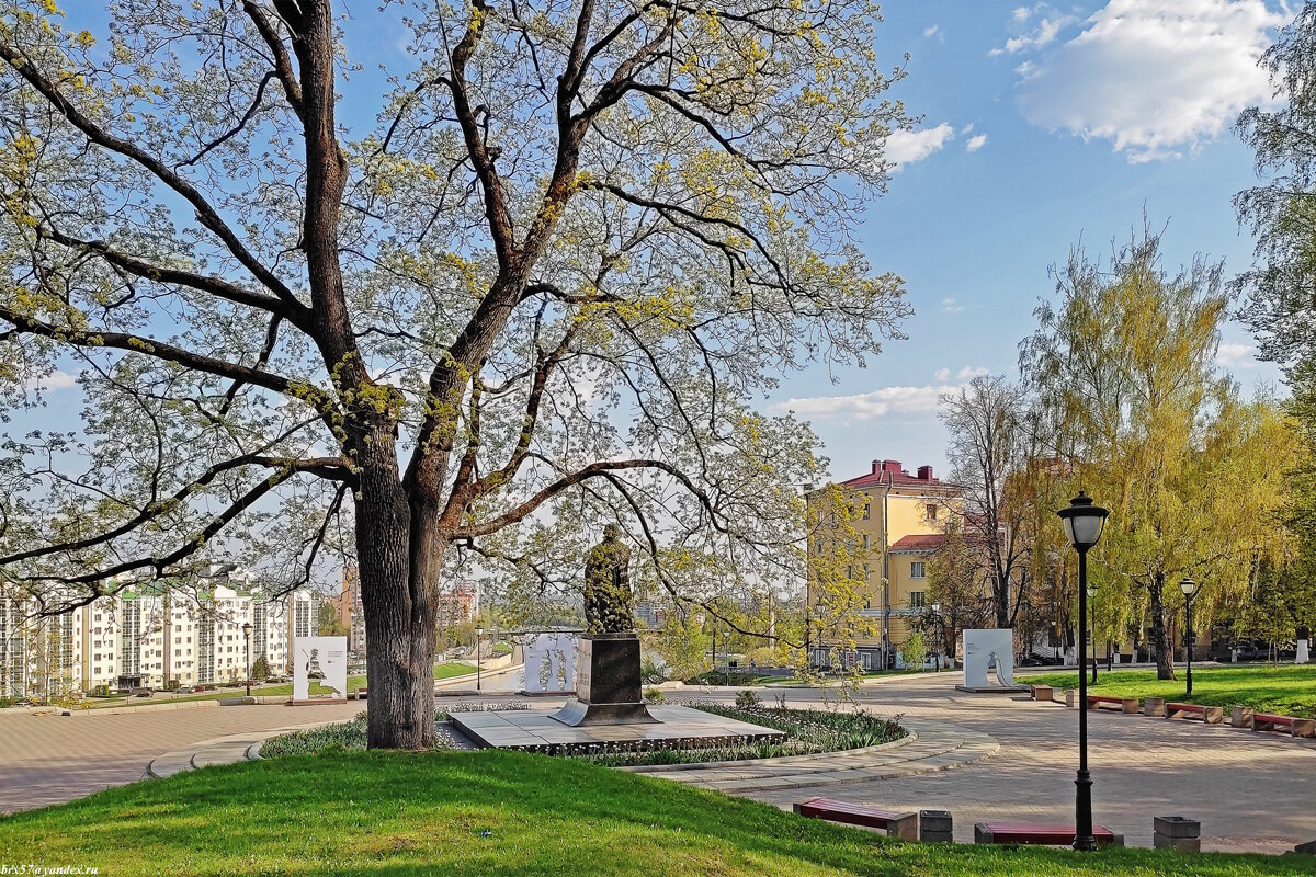 *** - Александр *** - Александр